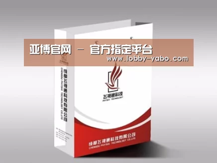 项目名称十三