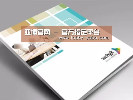 项目名称九