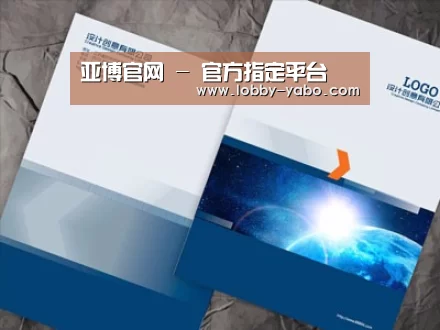 项目名称十