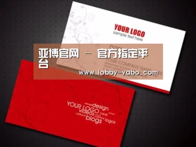 项目名称八