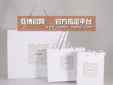 项目名称十一