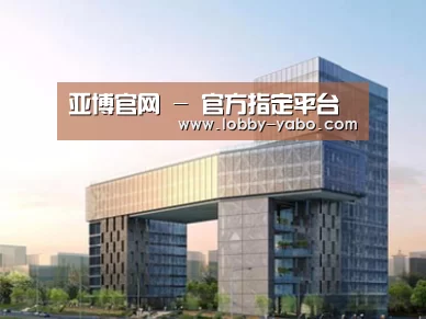 案例展示四